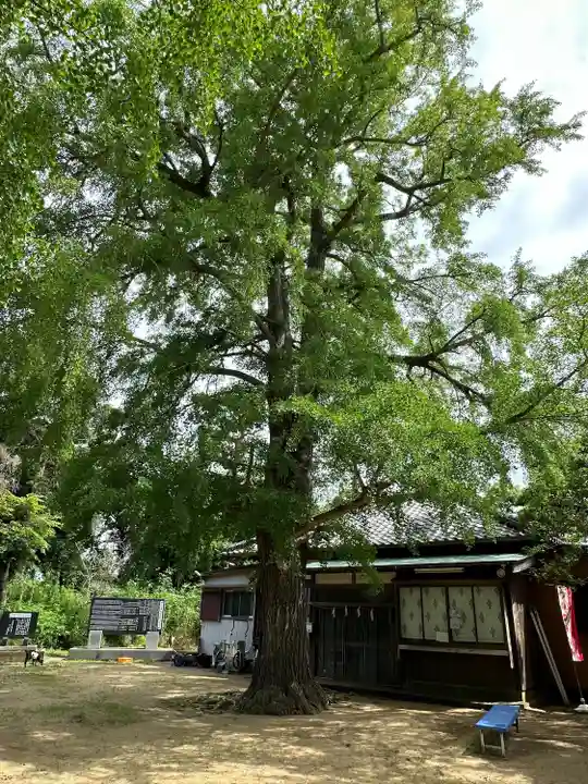 海上八幡宮(千葉県)