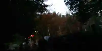 野宮神社(京都府)