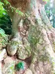 専修寺(栃木県)