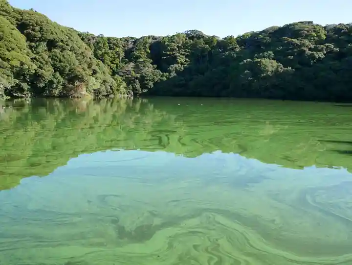 桜ヶ池池宮神社の自然