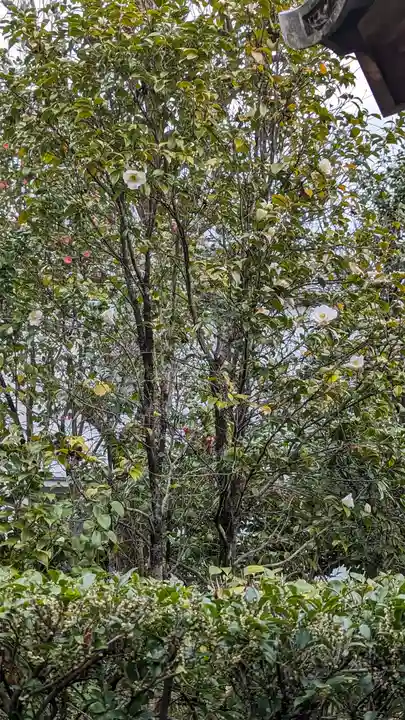 換骨堂(元真如堂)(京都府)