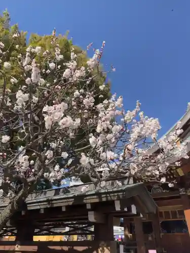湯島天満宮の{uncategorized: "未分類", other: "その他", undefined: "問題あり", building: "その他建物", grave: "お墓", sacred_gate: "鳥居", guardian: "狛犬", statue: "像", buddha: "仏像", history: "歴史", nature: "自然", garden: "庭園", animal: "動物", pagoda: "塔", temizu: "手水舎", mountain_gate: "山門・神門", sanctuary: "本殿・本堂", subordinate: "末社・摂社", art: "芸術", scenery: "景色", jizo: "地蔵", ema: "絵馬", goshuin: "御朱印", omikuji: "おみくじ", items: "授与品その他", amulet: "お守り", goshuincho: "御朱印帳", eats: "食事", festival: "お祭り", votive_dance: "神楽", shichigosan: "七五三参", wedding: "結婚式", experience: "体験その他", initially: "初詣", around: "周辺", anti_infection: "感染症対策"}