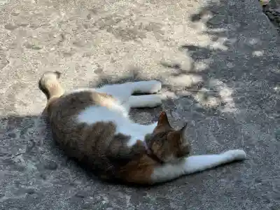 長楽寺(静岡県)