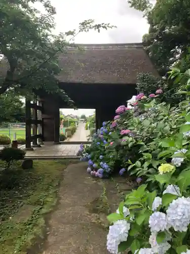 大聖寺（土浦大師不動尊）の山門