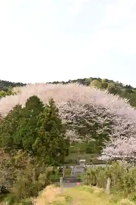 熊野神社(愛媛県)