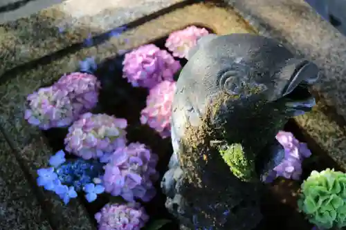 神炊館神社 ⁂奥州須賀川総鎮守⁂の手水