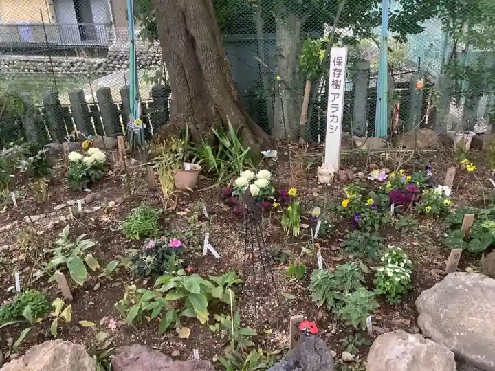 川原神社の自然