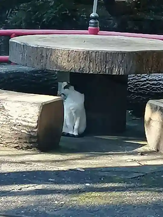 間々田八幡宮の動物