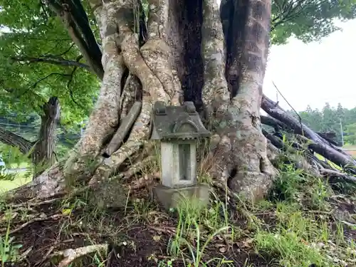 神社（名称不明）の自然