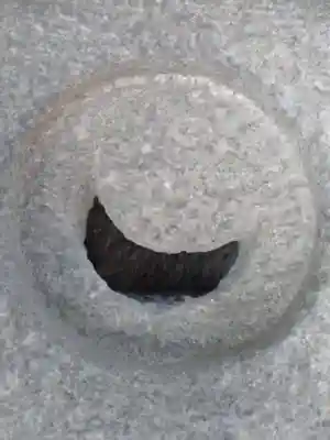 被官稲荷神社のその他建物