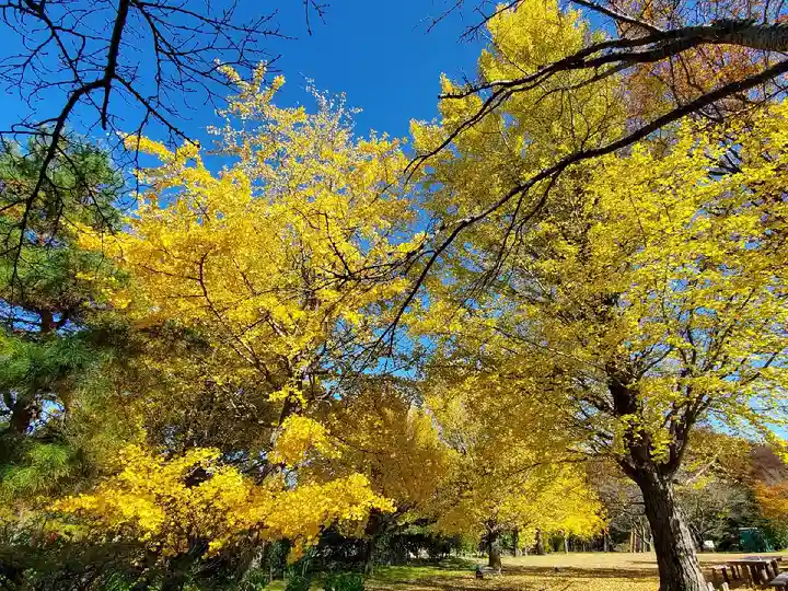 緑水神社(福島県)