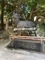 春日大社の手水舎