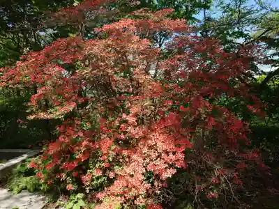 室蘭八幡宮(北海道)