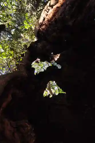 三島神社(愛媛県)