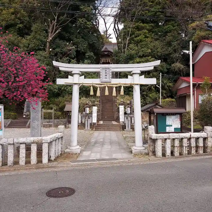 白旗神社(品濃白旗神社)の鳥居