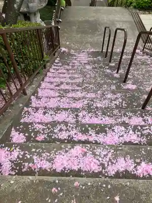 白幡八幡大神のその他建物