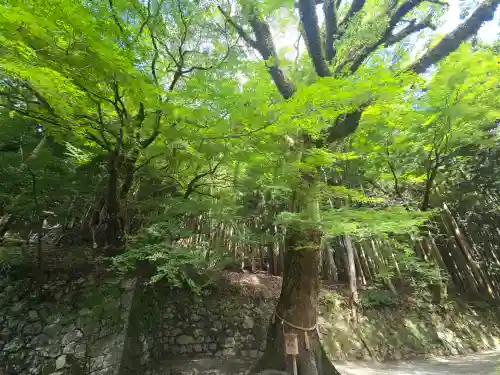 談山神社(奈良県)