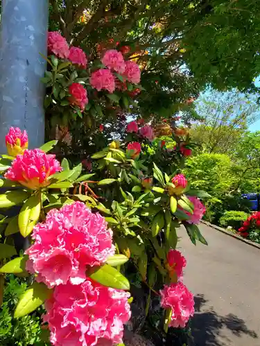 長命寺(福島県)