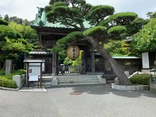 長谷寺の山門・神門