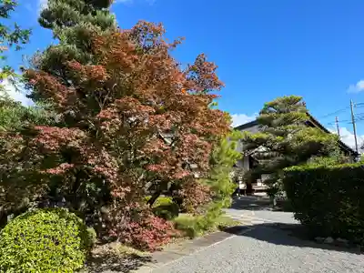 神光院(京都府)