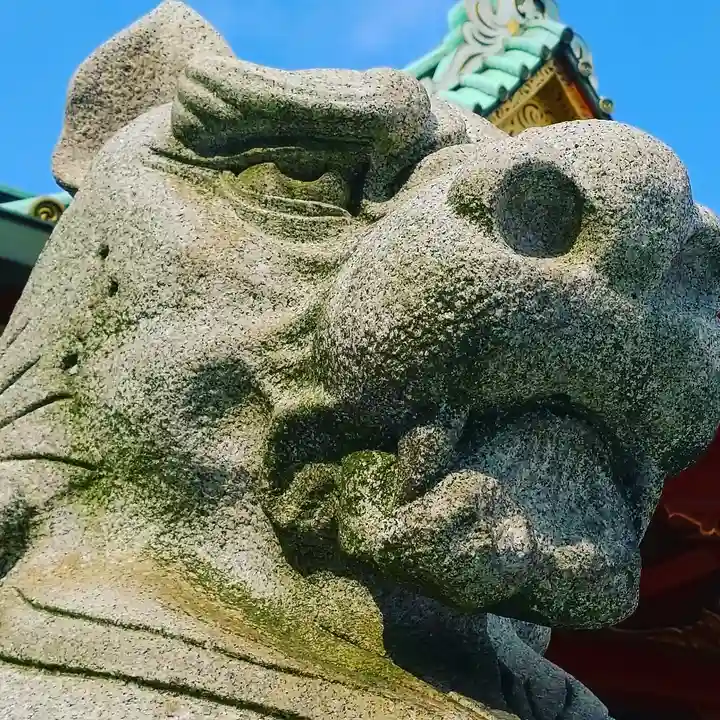 神田神社(神田明神)の狛犬