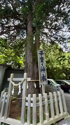 新倉富士浅間神社(山梨県)