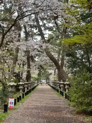 鶴嶺八幡宮の{uncategorized: "未分類", other: "その他", undefined: "問題あり", building: "その他建物", grave: "お墓", sacred_gate: "鳥居", guardian: "狛犬", statue: "像", buddha: "仏像", history: "歴史", nature: "自然", garden: "庭園", animal: "動物", pagoda: "塔", temizu: "手水舎", mountain_gate: "山門・神門", sanctuary: "本殿・本堂", subordinate: "末社・摂社", art: "芸術", scenery: "景色", jizo: "地蔵", ema: "絵馬", goshuin: "御朱印", omikuji: "おみくじ", items: "授与品その他", amulet: "お守り", goshuincho: "御朱印帳", eats: "食事", festival: "お祭り", votive_dance: "神楽", shichigosan: "七五三参", wedding: "結婚式", experience: "体験その他", initially: "初詣", around: "周辺", anti_infection: "感染症対策"}