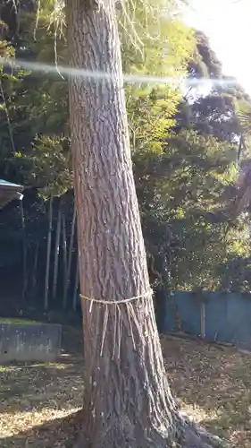 二宮神社の自然