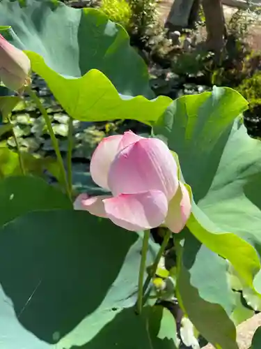 歓喜院(兵庫県)