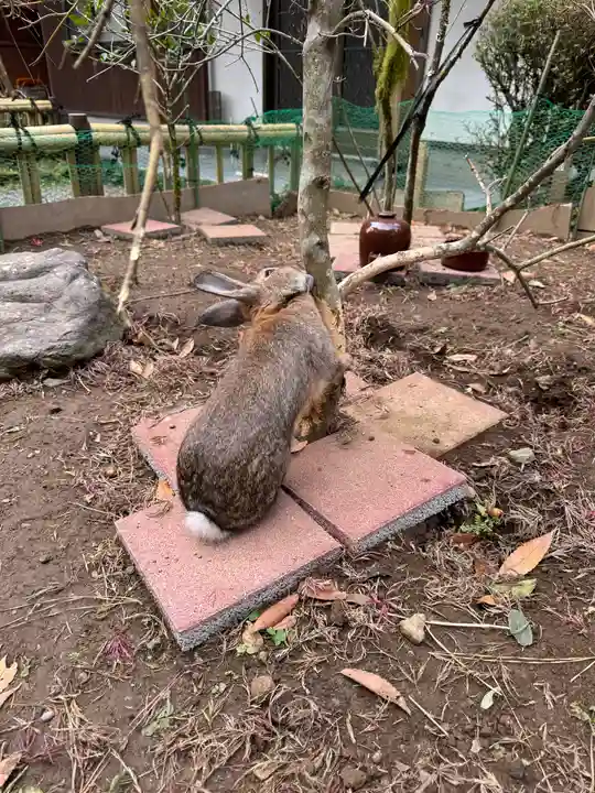 天岩戸神社(宮崎県)