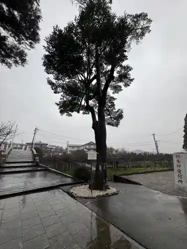 西寒多神社(大分県)