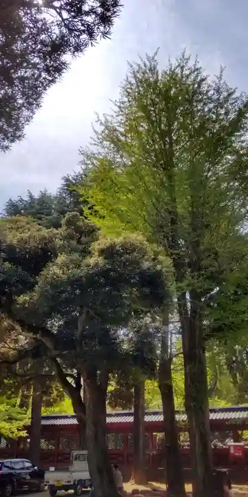 根津神社(東京都)