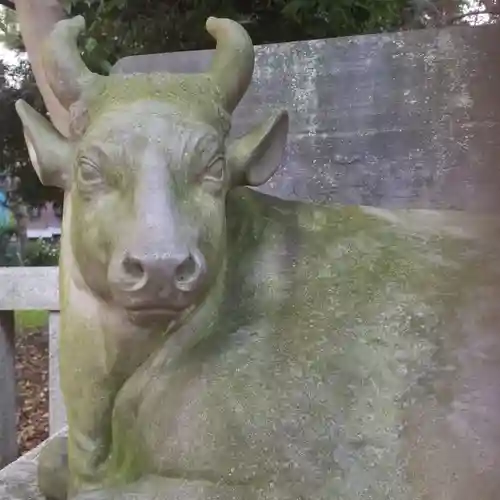 牛嶋神社の狛犬