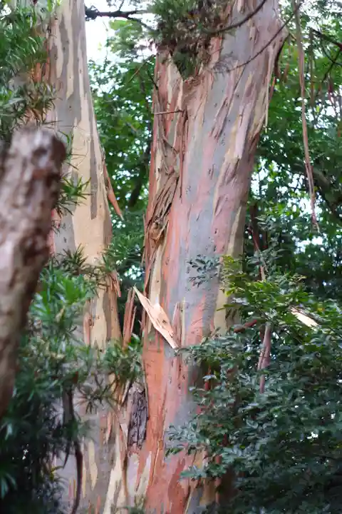 元城町東照宮の自然