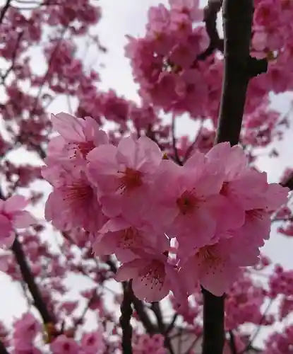 阿邪訶根神社の自然