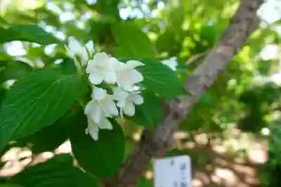 住吉大社のその他建物