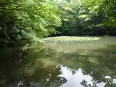 伊勢神宮内宮（皇大神宮）の自然