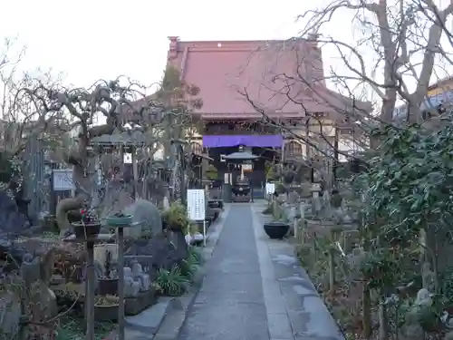 常泉寺の本殿・本堂