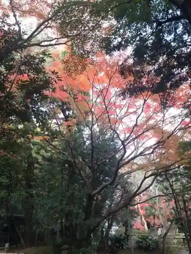 大正寺の庭園