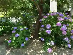 玉村八幡宮(群馬県)