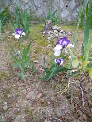 木華佐久耶比咩神社の自然