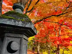 土津神社｜こどもと出世の神さまの景色