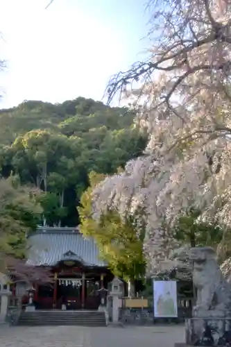 伊豆山神社(静岡県)