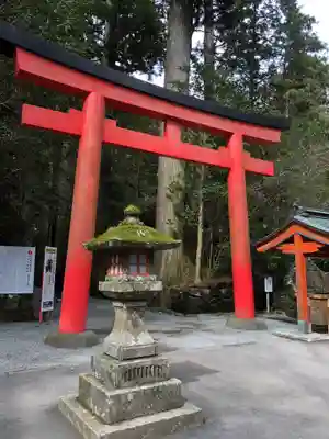 箱根神社の鳥居