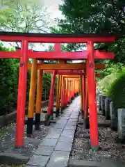 乙女稲荷神社の鳥居