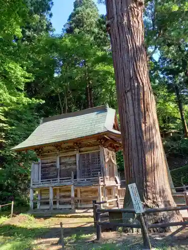 厳島神社（嚴島神社）の本殿・本堂