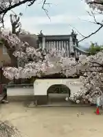 慈眼寺の{uncategorized: "未分類", other: "その他", undefined: "問題あり", building: "その他建物", grave: "お墓", sacred_gate: "鳥居", guardian: "狛犬", statue: "像", buddha: "仏像", history: "歴史", nature: "自然", garden: "庭園", animal: "動物", pagoda: "塔", temizu: "手水舎", mountain_gate: "山門・神門", sanctuary: "本殿・本堂", subordinate: "末社・摂社", art: "芸術", scenery: "景色", jizo: "地蔵", ema: "絵馬", goshuin: "御朱印", omikuji: "おみくじ", items: "授与品その他", amulet: "お守り", goshuincho: "御朱印帳", eats: "食事", festival: "お祭り", votive_dance: "神楽", shichigosan: "七五三参", wedding: "結婚式", experience: "体験その他", initially: "初詣", around: "周辺", anti_infection: "感染症対策"}