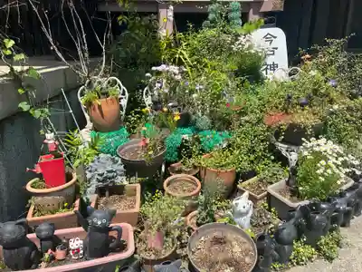 今戸神社(東京都)