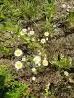 八幡神社の自然