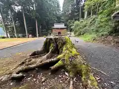 八幡神社(福井県)